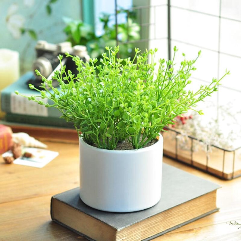鲜花花束:现代审美与情感表达的新宠